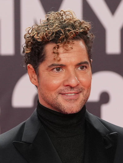 David Bisbal — foto de Junta de Andalucía (CC BY-SA 2.0, Wikimedia Commons)