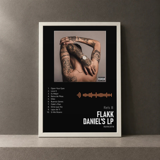 Cuadro de Flakk Daniel's Lp de Rels B, marco de 18 x 24 cm