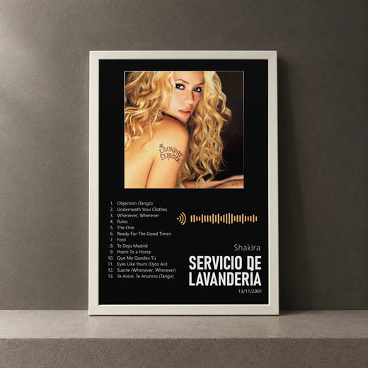 Cuadro de Servicio de Lavandería de Shakira, marco de 18 x 24 cm